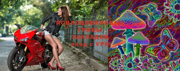 прущий лед Няндома