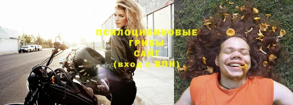 альфа пвп Новодвинск