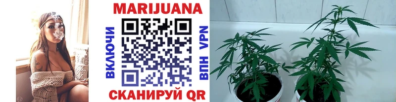 Купить  Долгопрудный  Бошки марихуана AK-47 